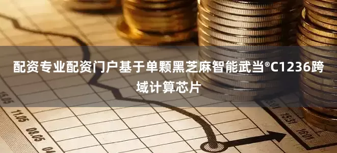 配资专业配资门户基于单颗黑芝麻智能武当®C1236跨域计算芯片
